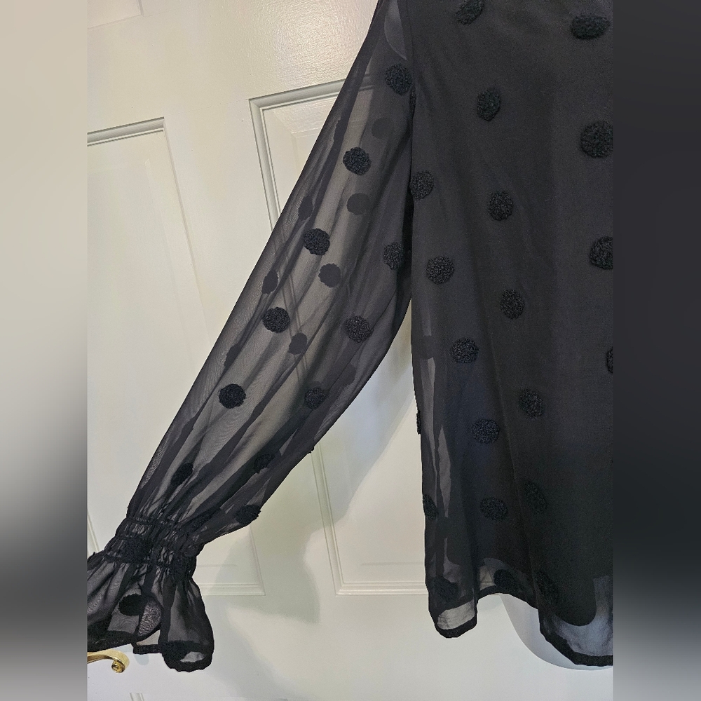 Blu Pepper Black Sheer Blouse with Polka Dots - Picture 3 of 5